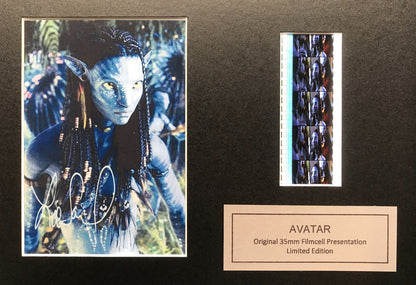 Hand crafted display featuring original film cells for an AVATAR 2009 fan vSR