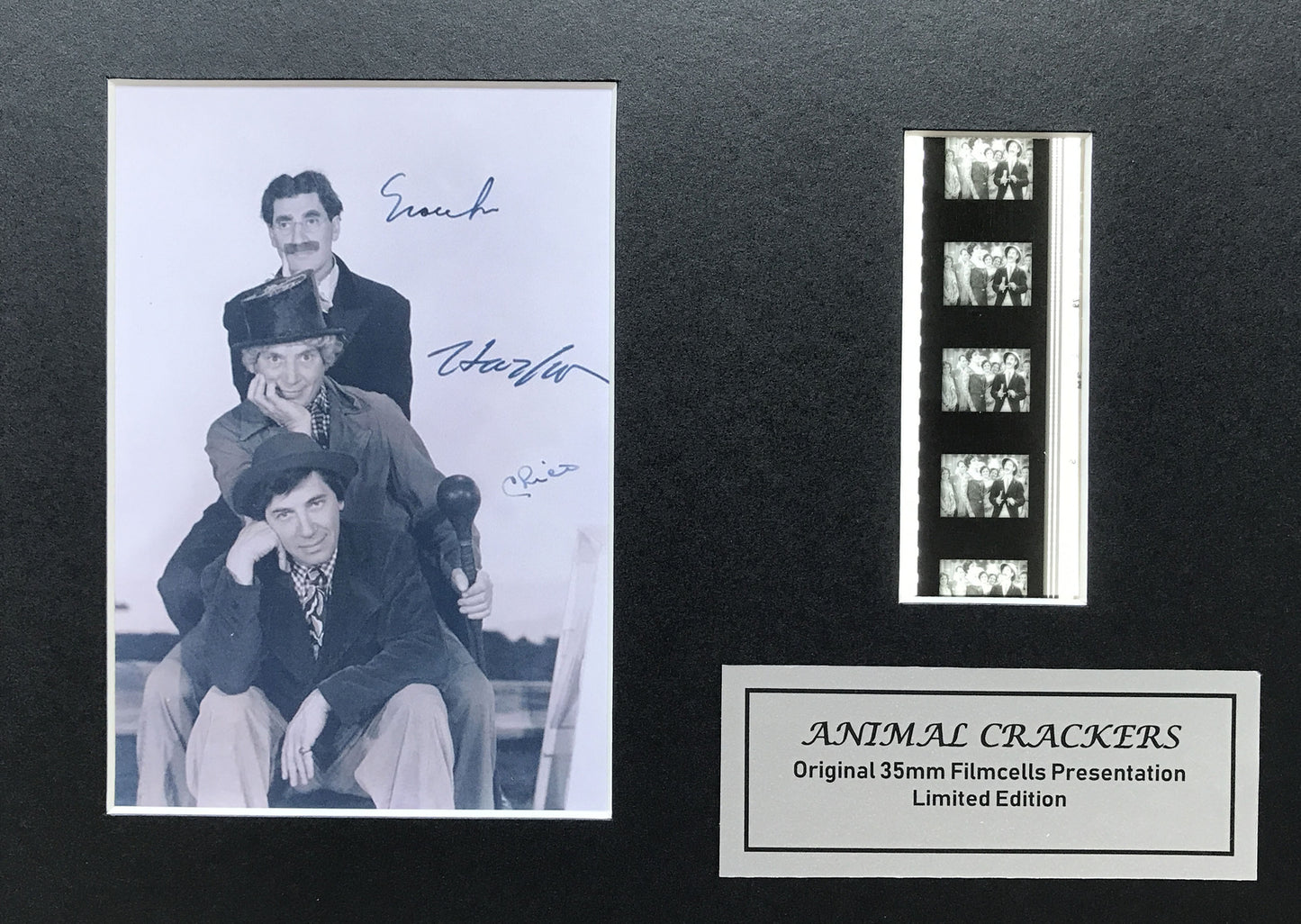 THE MARX BROTHERS Original 35mm Film Cells set in Quality Wood Frame + COA