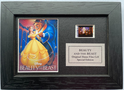 Handmade display featuring original Mini film cells for a Beauty & The Beast fan