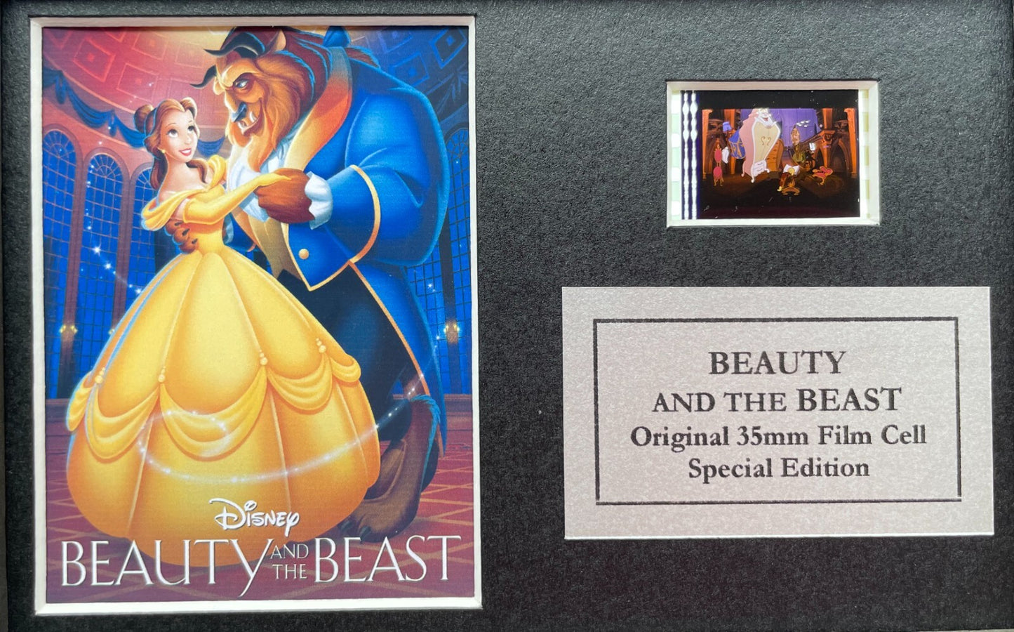 Handmade display featuring original Mini film cells for a Beauty & The Beast fan