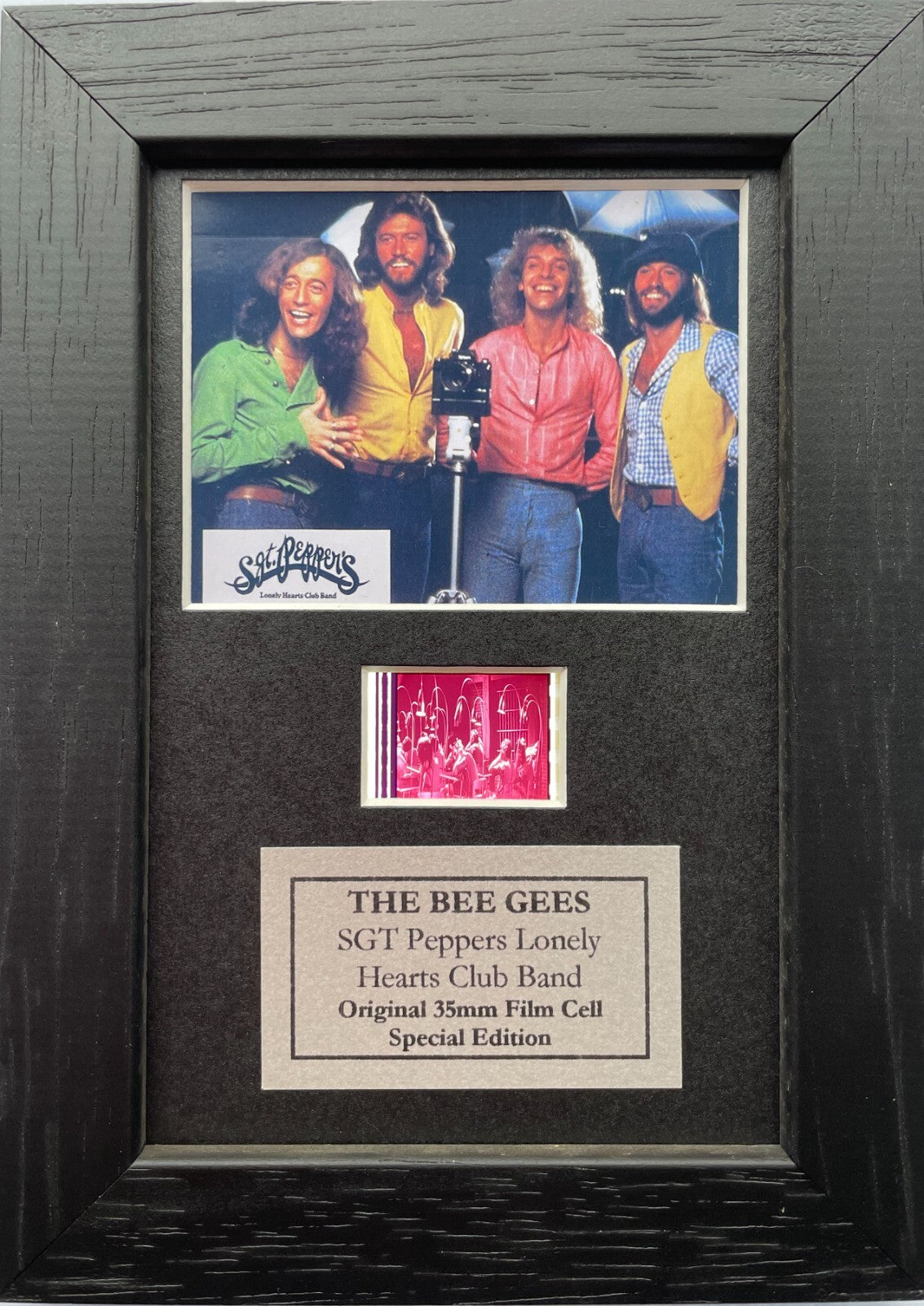 Hand crafted display featuring original Mini 35mm film cells for a BEE GEES fan