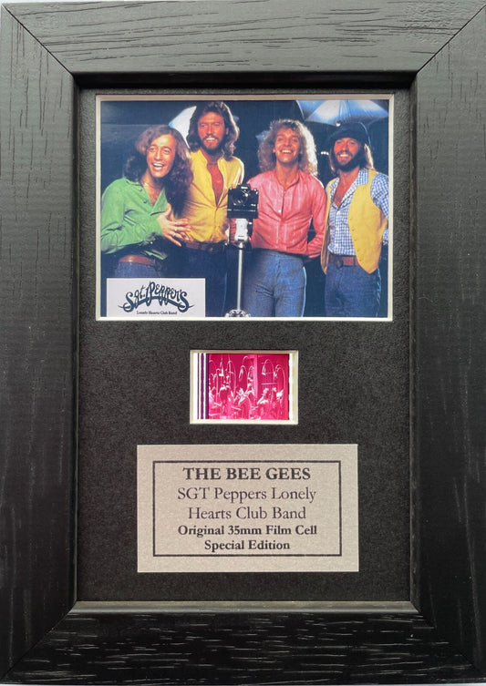 Hand crafted display featuring original Mini 35mm film cells for a BEE GEES fan