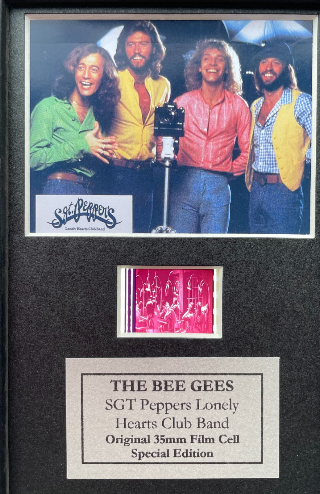 Hand crafted display featuring original Mini 35mm film cells for a BEE GEES fan