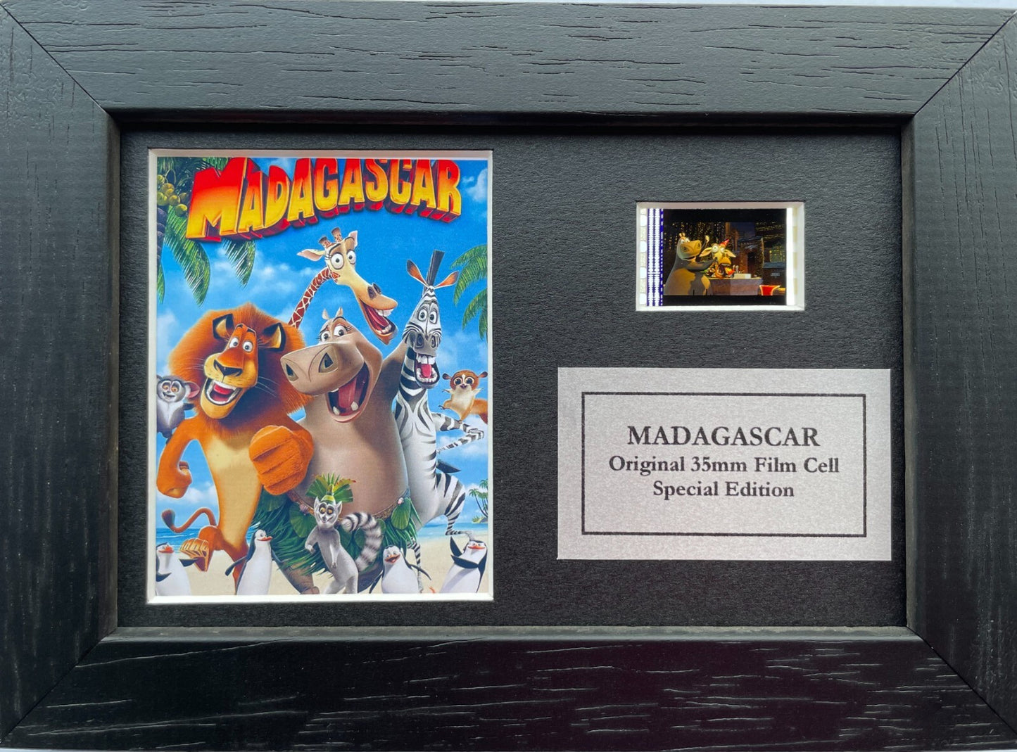 Hand crafted display featuring original Mini 35mm filmcells for a MADAGASCAR fan