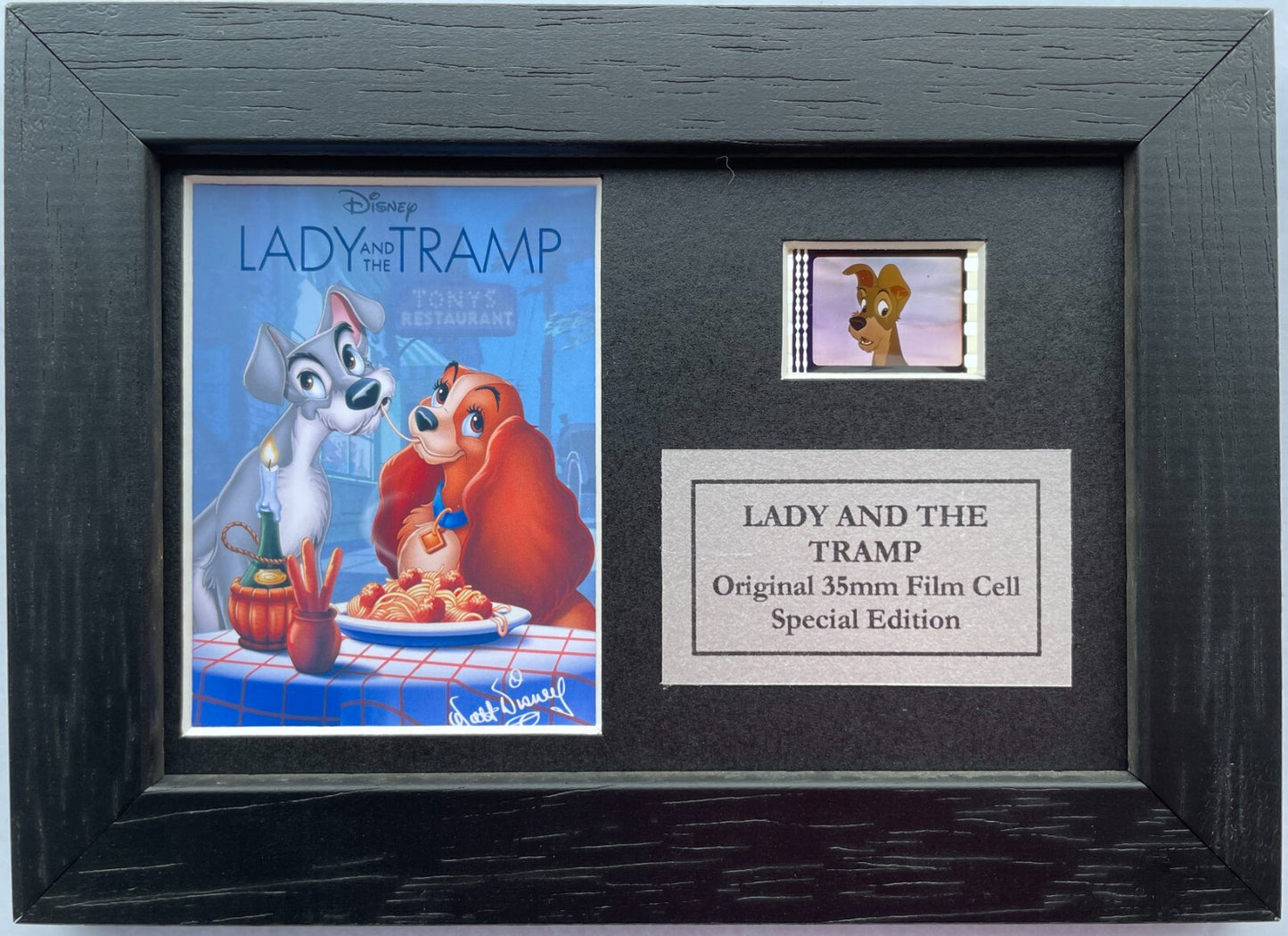 Hand crafted display inc original Mini 35mm film cells for Lady & The Tramp fans