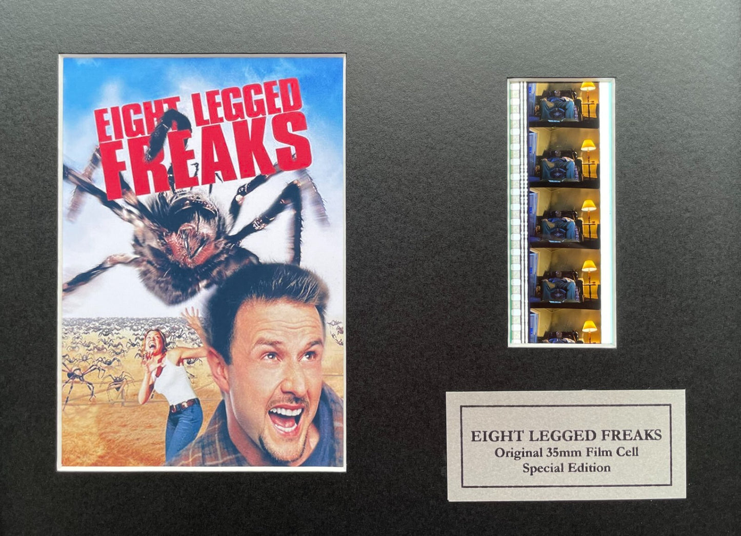 Hand crafted display featuring original film cells for EIGHT LEGGED FREAKS fans