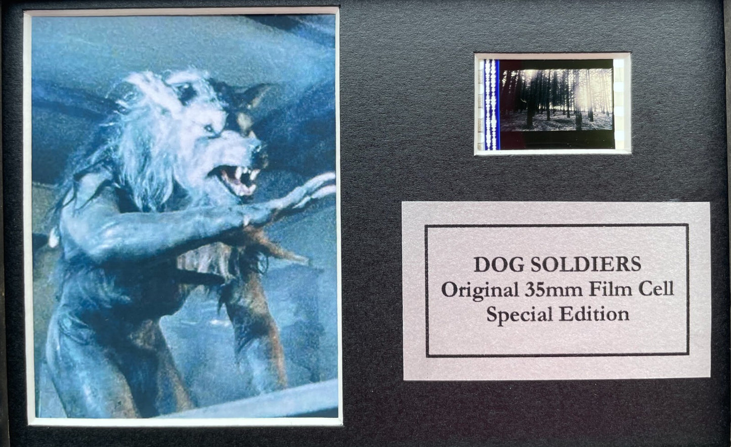 DOG SOLDIERS Original Mini 35mm Film Cells set within Quality Wood Frame + COA