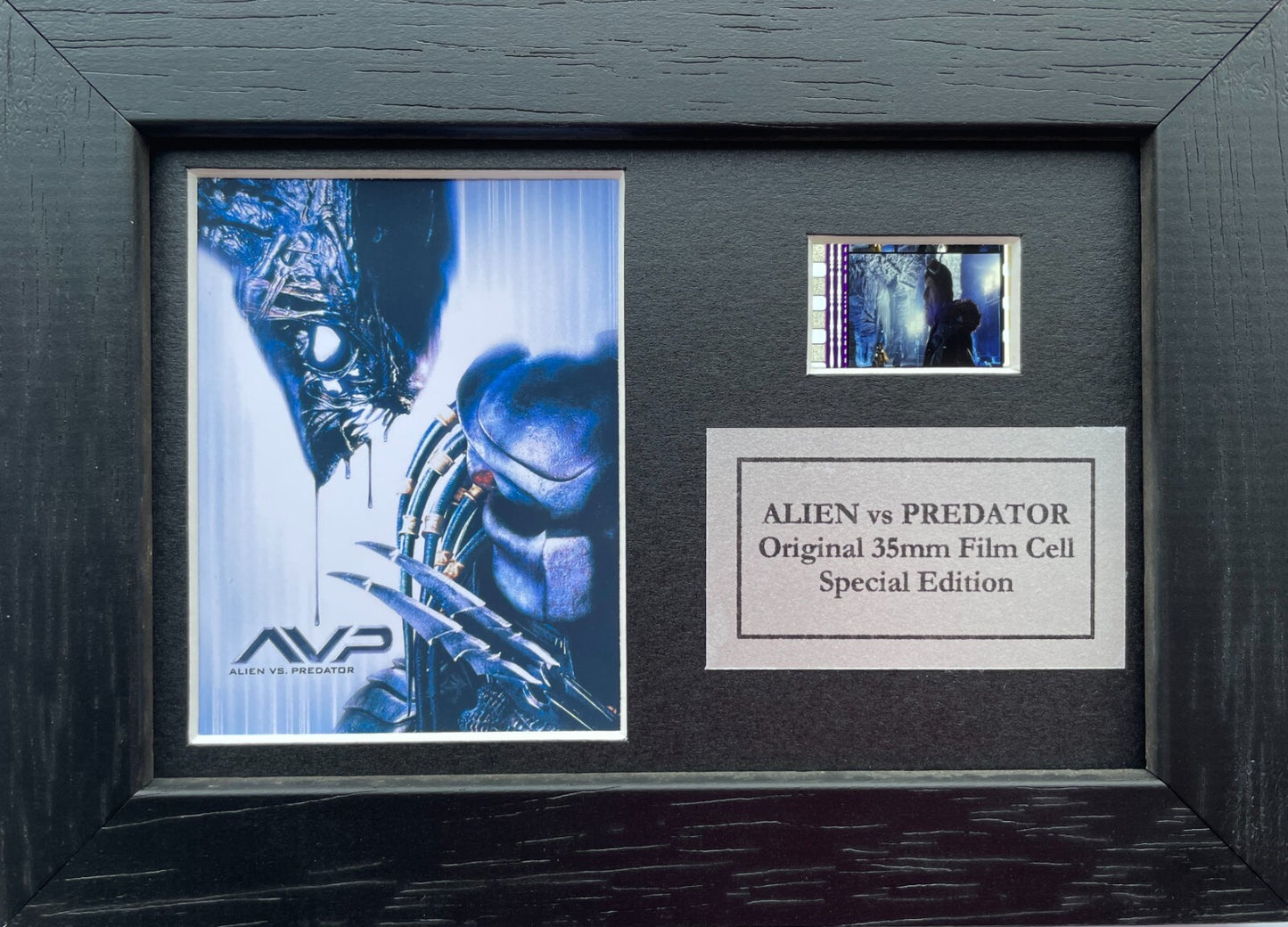 Hand crafted display featuring original Mini filmcell for ALIEN vs PREDATOR fans