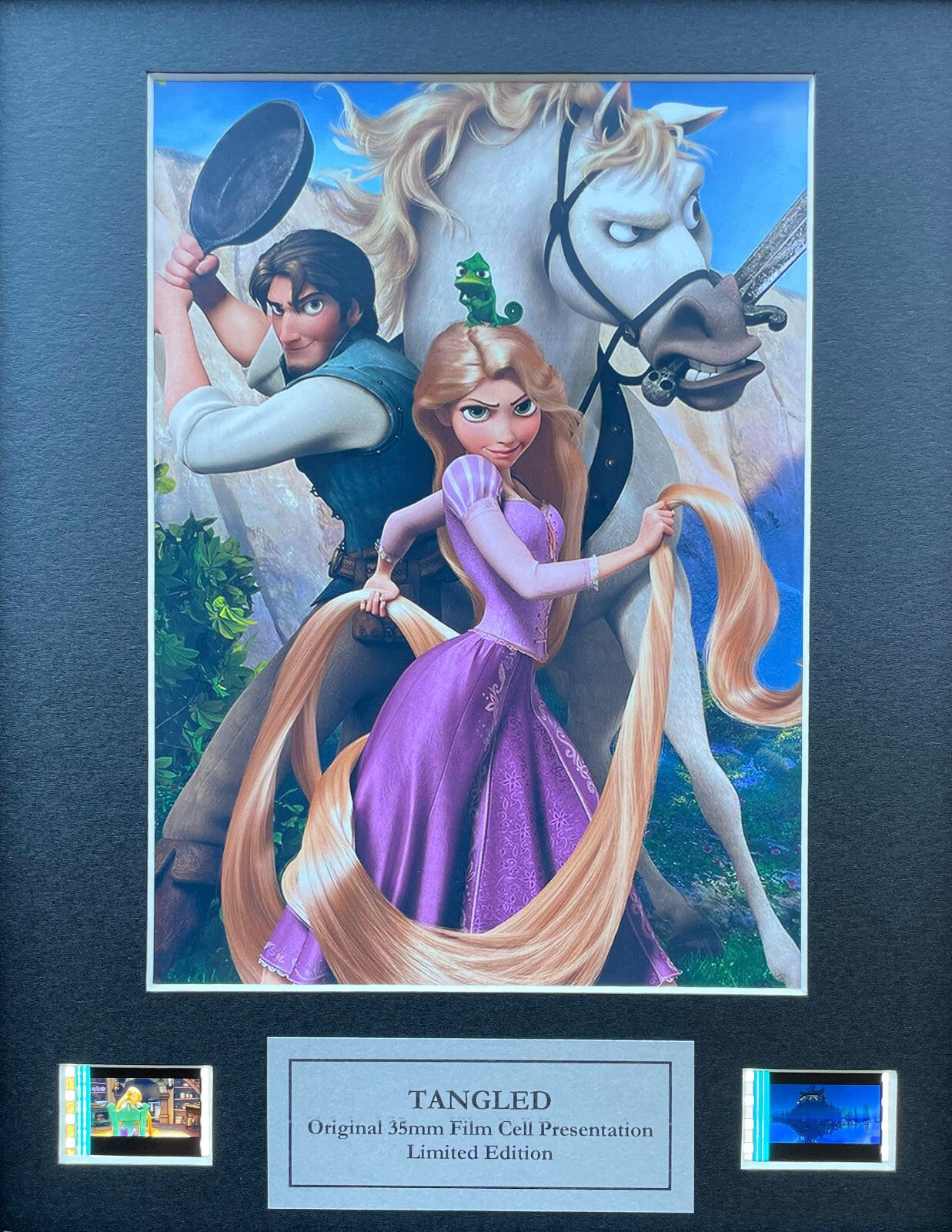 Hand crafted display featuring original 35mm film cells for a TANGLED 2010 fan