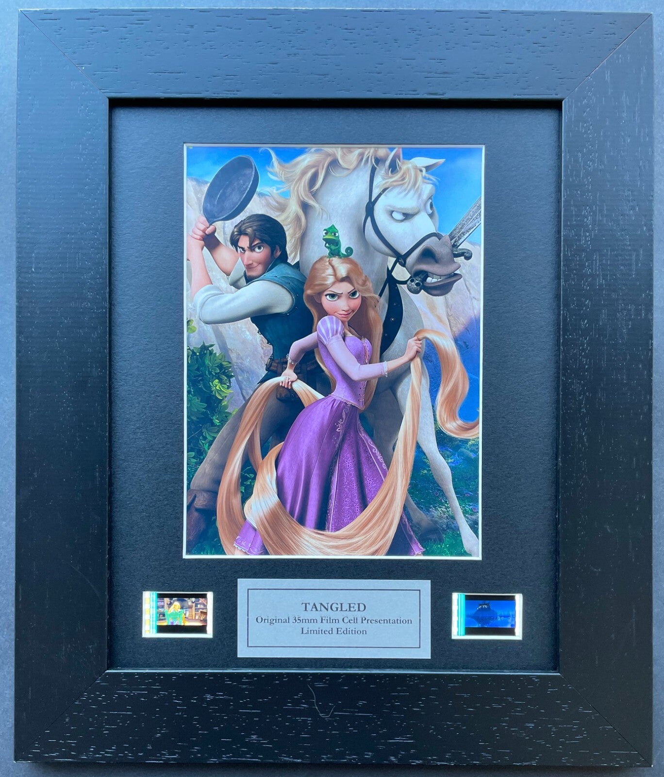 Hand crafted display featuring original 35mm film cells for a TANGLED 2010 fan