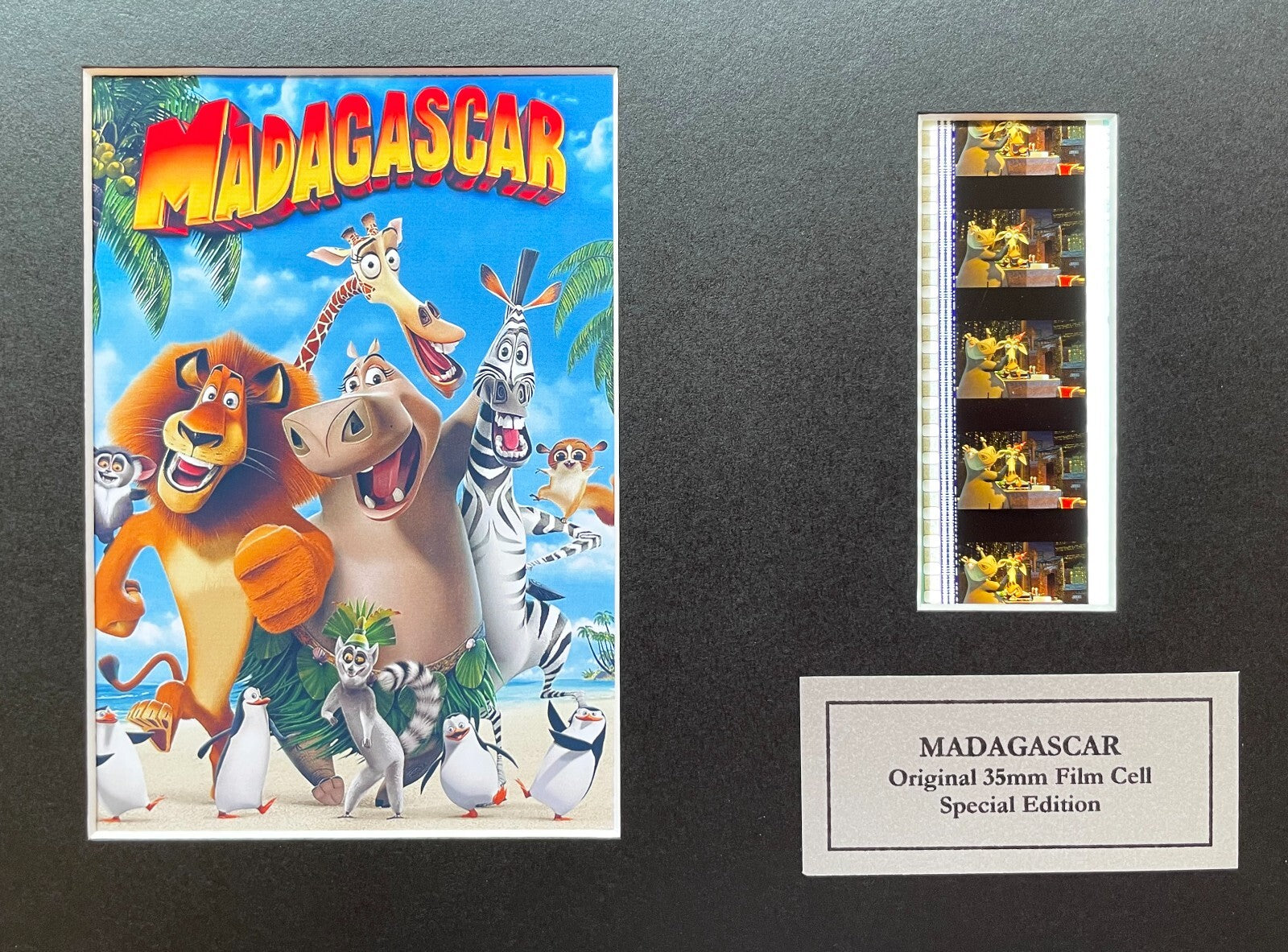 Hand crafted display featuring original 35mm film cells for a MADAGASCAR fan