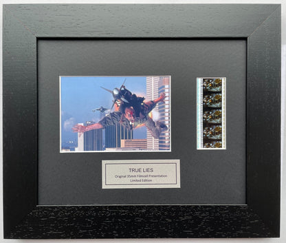 Hand crafted display featuring original film cells for TRUE LIES 1994 fans v2