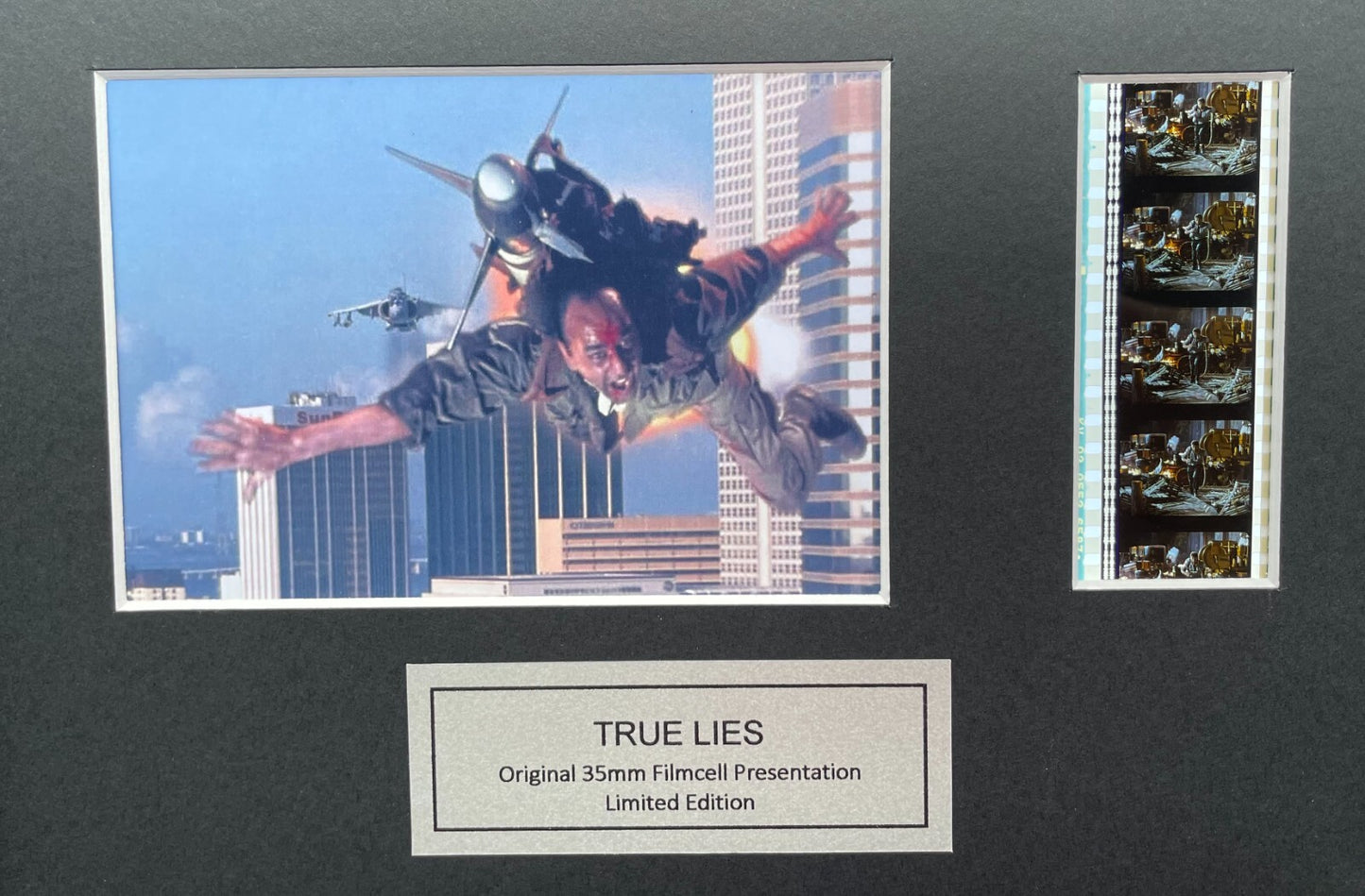 Hand crafted display featuring original film cells for TRUE LIES 1994 fans v2