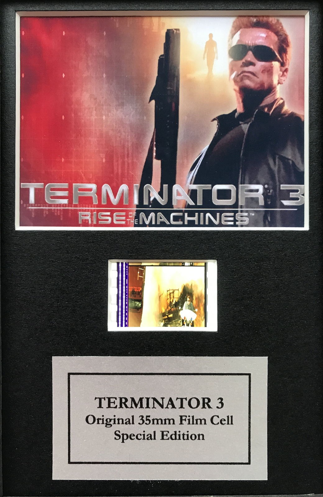 Handmade display featuring original Mini 35mm film cells for a Terminator 3 fan
