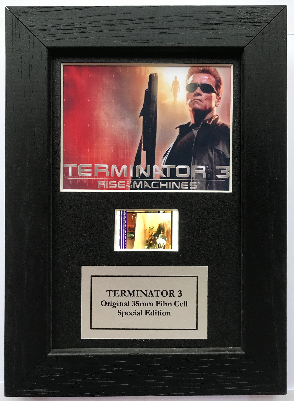 Handmade display featuring original Mini 35mm film cells for a Terminator 3 fan