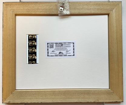 Handmade display featuring original 35mm film cells for LIFE of 1999 fans v1
