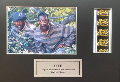 Handmade display featuring original 35mm film cells for LIFE of 1999 fans v1