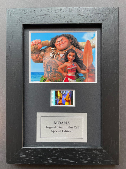 Handmade display featuring original Mini 35mm film cells for a MOANA 2016 fan