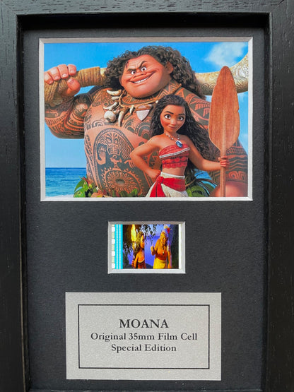 Handmade display featuring original Mini 35mm film cells for a MOANA 2016 fan