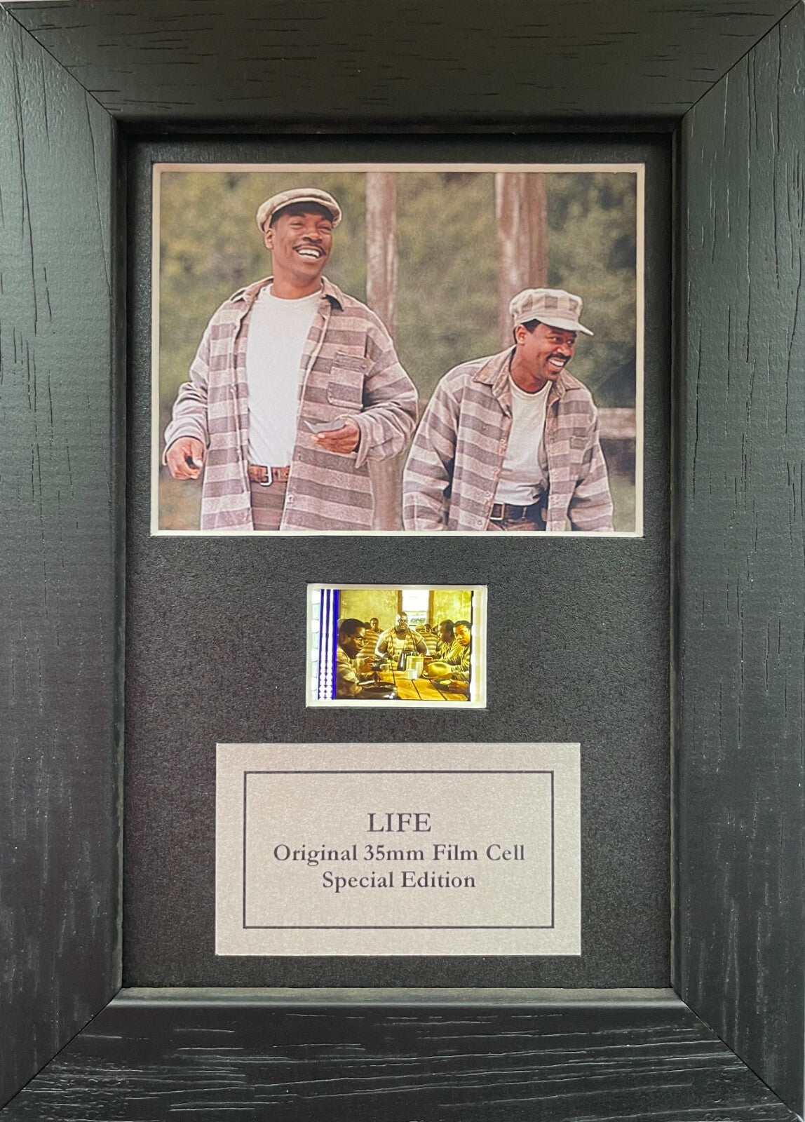 Handmade display featuring original Mini 35mm film cells for LIFE 0F 1999 fans