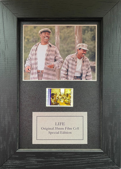 Handmade display featuring original Mini 35mm film cells for LIFE 0F 1999 fans