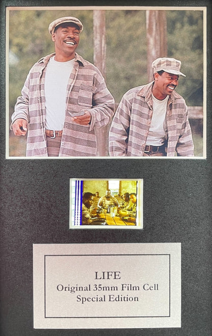 Handmade display featuring original Mini 35mm film cells for LIFE 0F 1999 fans