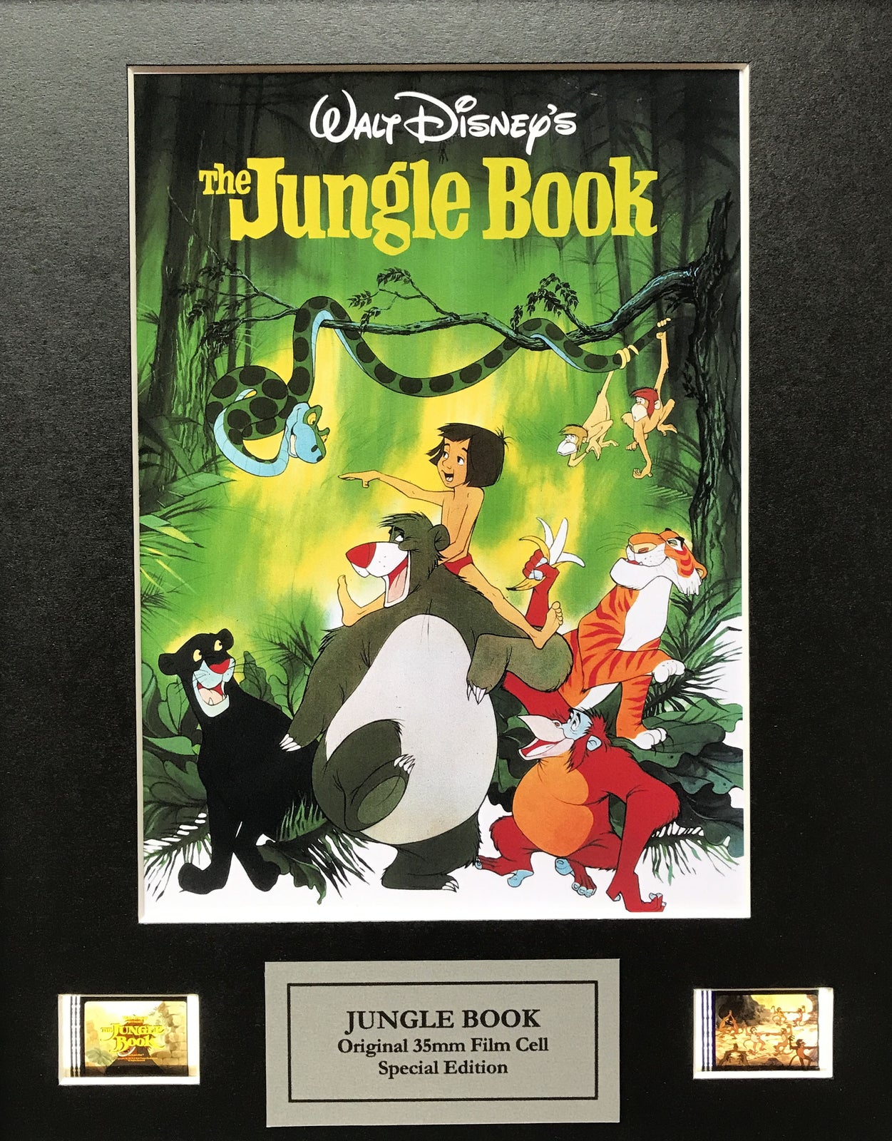 Handmade gift inc original 35mm film cells for Walt Disney's JUNGLE BOOK fans v2