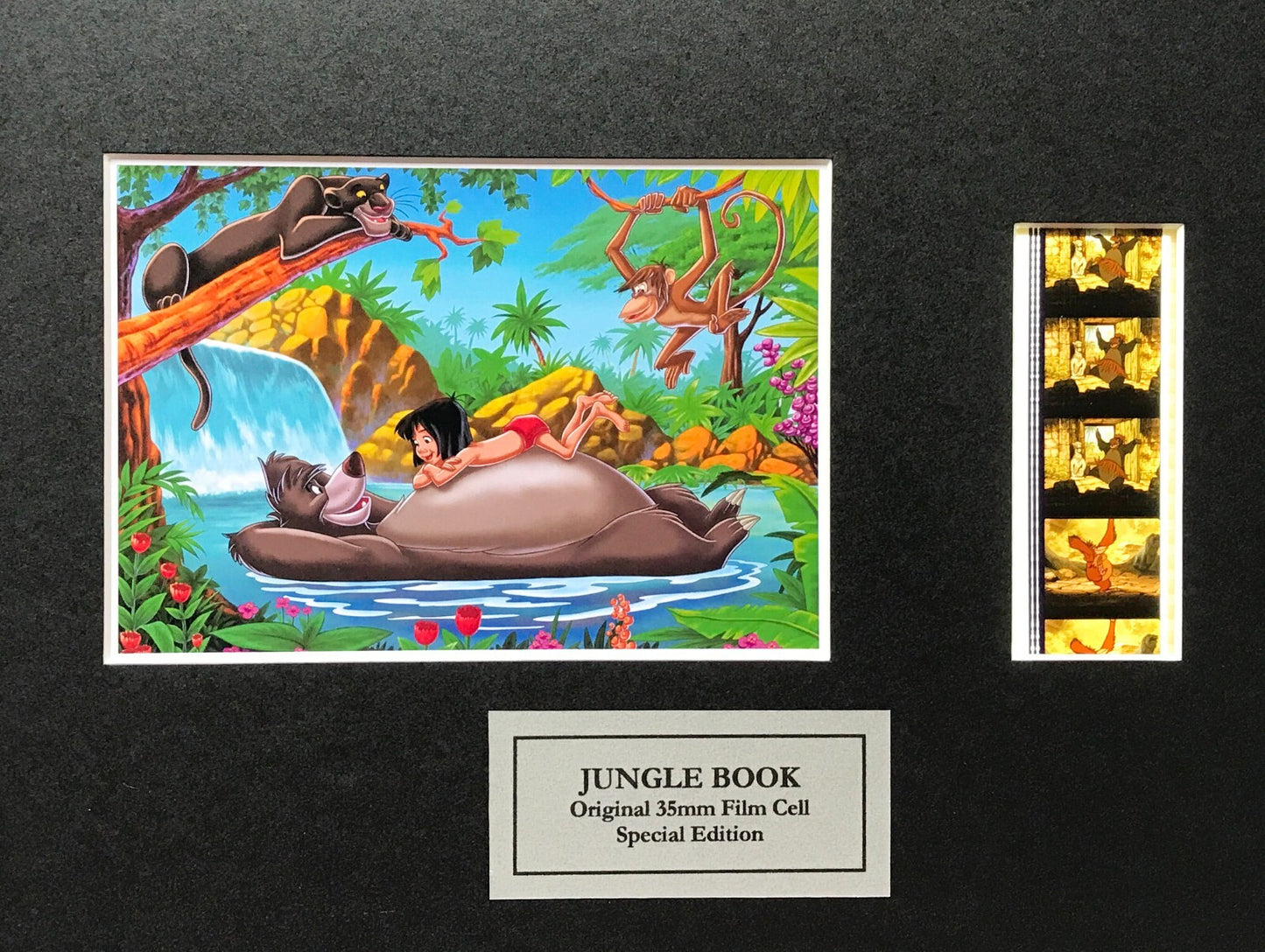 JUNGLE BOOK Original 35mm Film Cells set within Quality Wood Frame + COA v1
