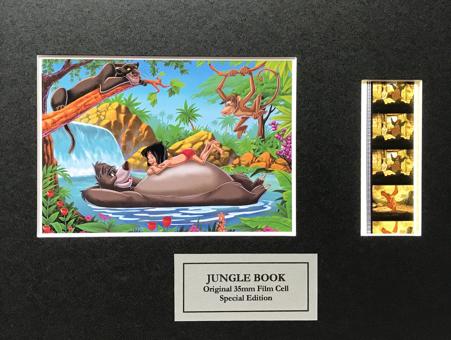 JUNGLE BOOK Original 35mm Film Cells set within Quality Wood Frame + COA v1
