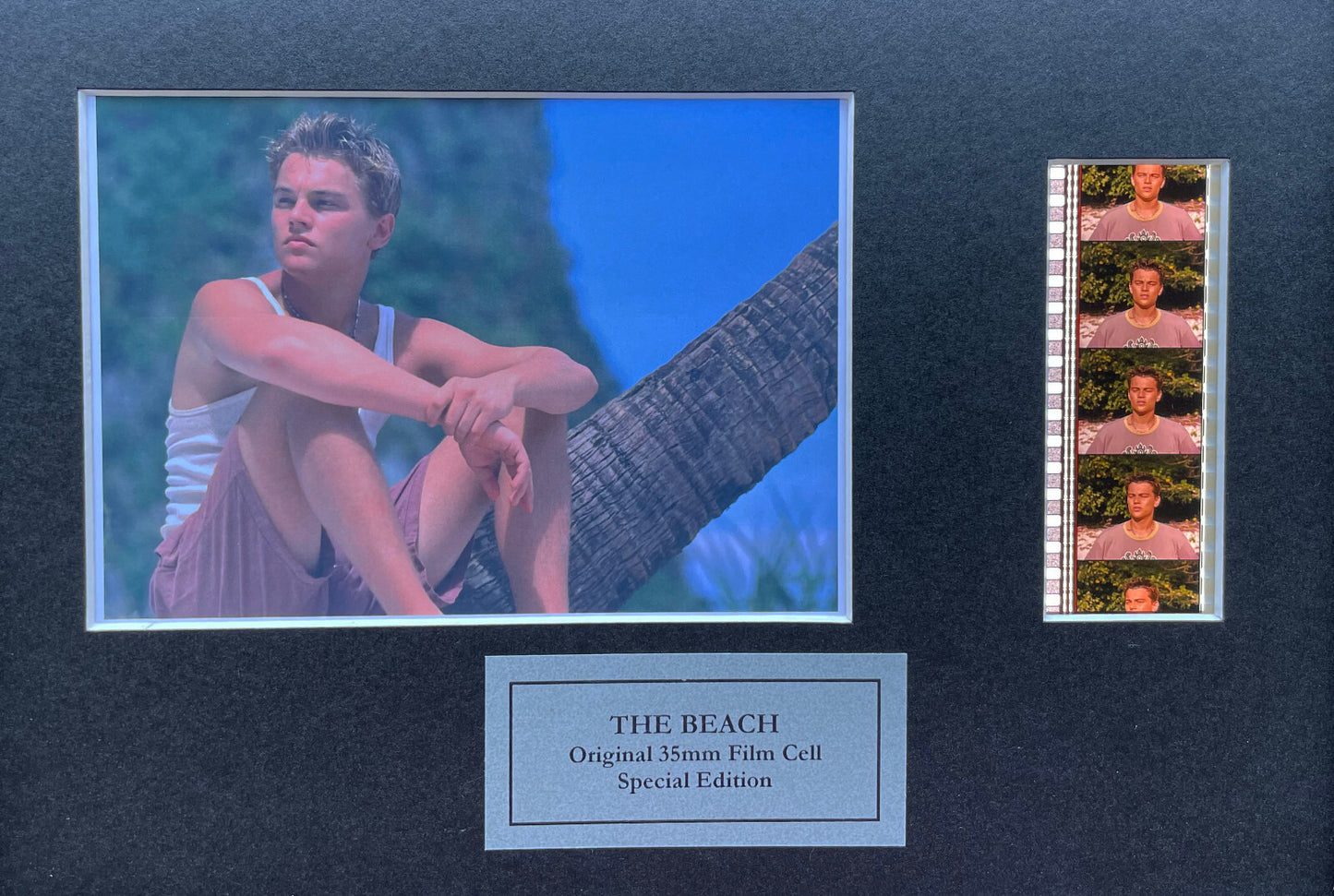 Hand crafted display featuring original film cells for LEONARDO DICAPRIO fans