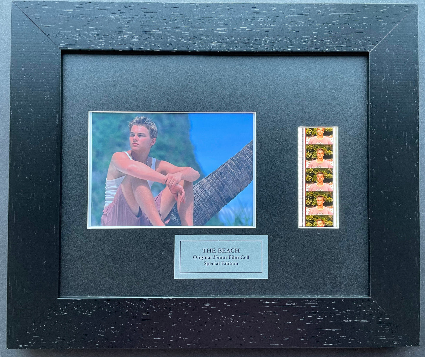 Hand crafted display featuring original film cells for LEONARDO DICAPRIO fans
