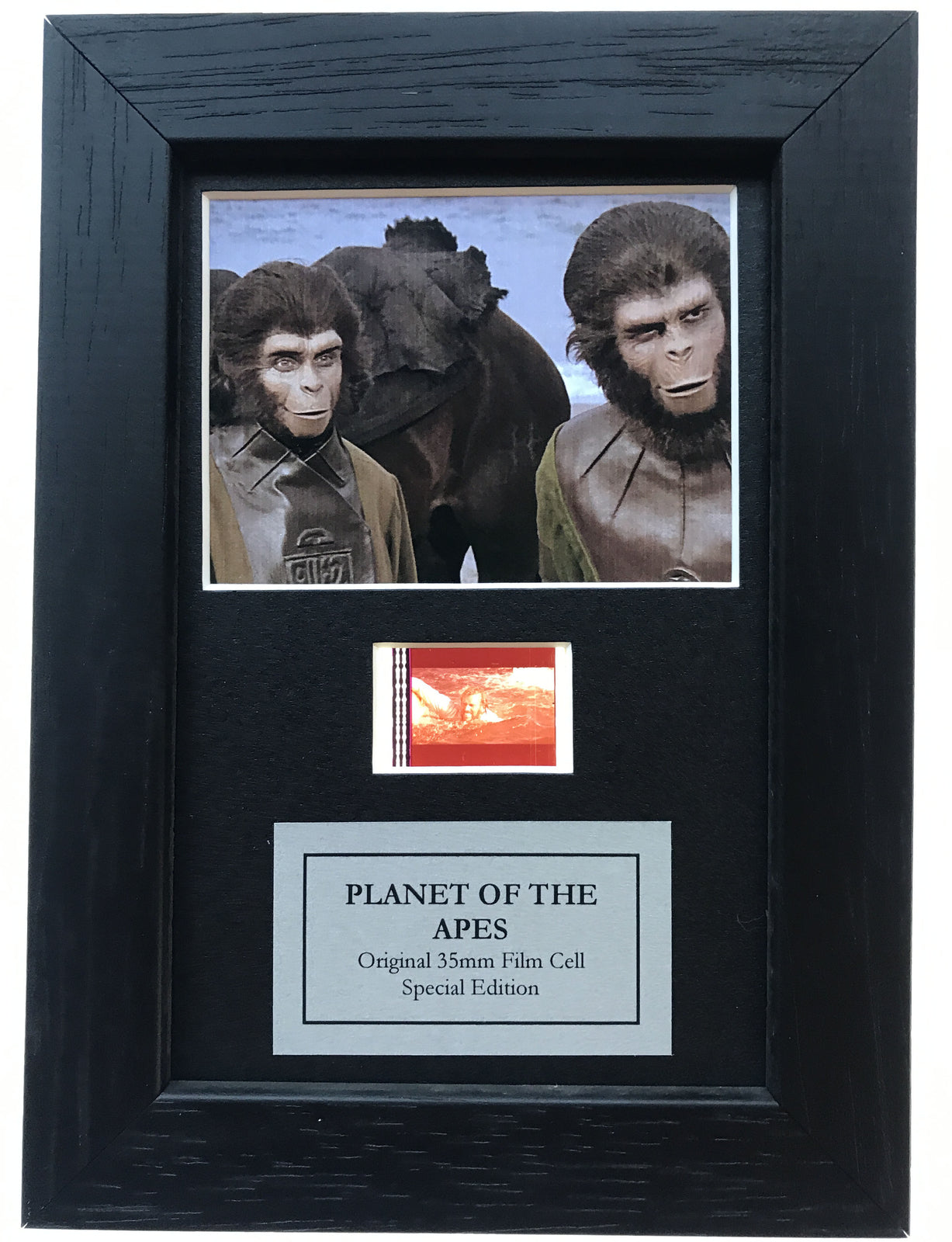 Handmade display featuring original Mini filmcell for PLANET of The APES Fans v1