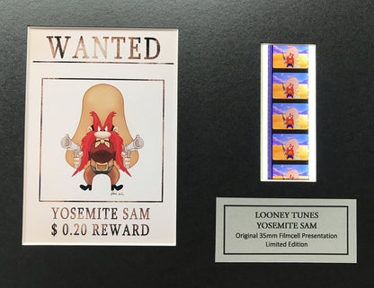 Hand crafted display featuring original Rare filmcells for a LOONEY TUNES fan v2