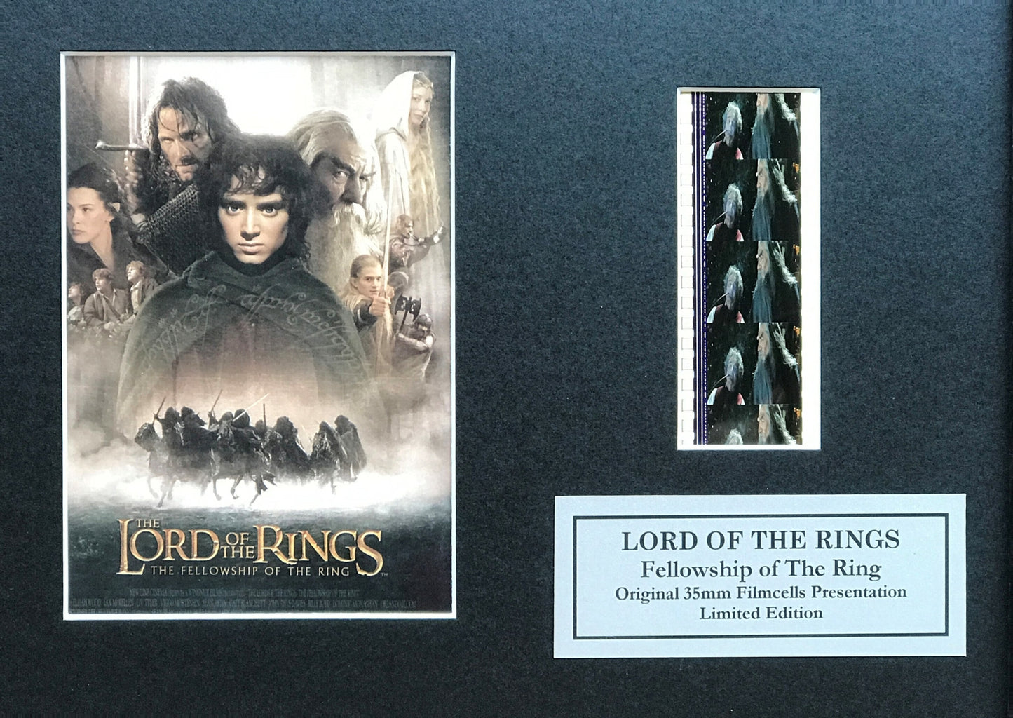 LOTR The FELLOWSHIP O/T RING Original 35mm film cells set in Quality Wood Frame