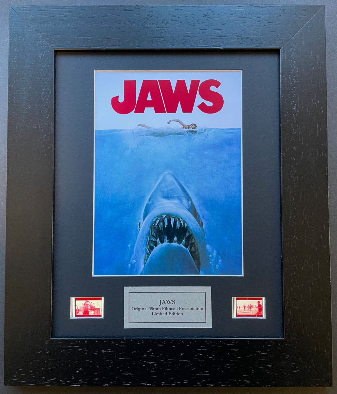 Hand crafted display featuring original 35mm film cells for a JAWS fan + COA