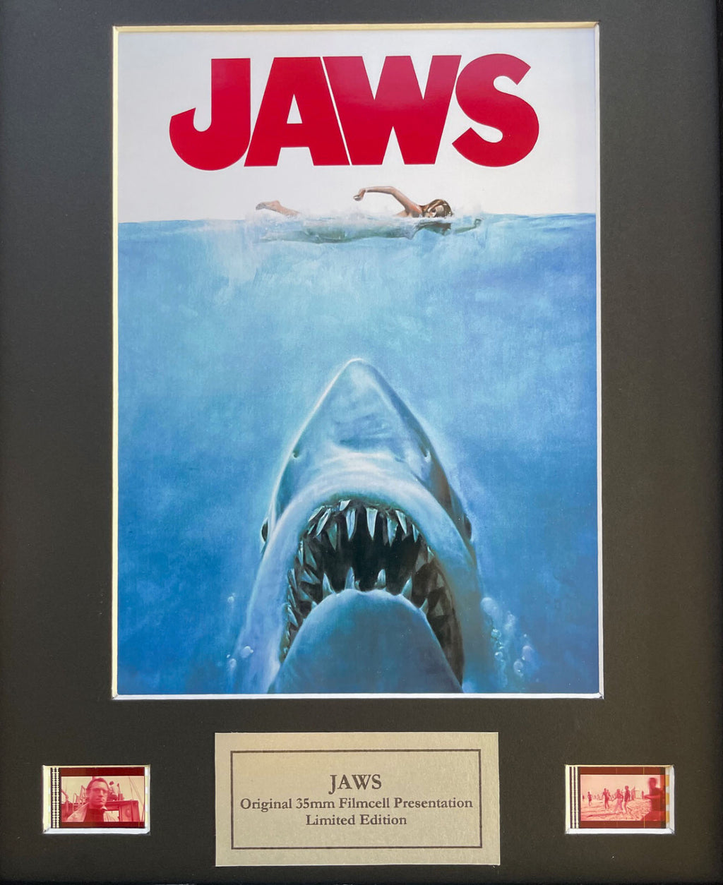 Hand crafted display featuring original 35mm film cells for a JAWS fan + COA