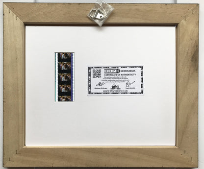 Hand crafted display featuring original film cells for CALENDAR GIRLS fans v1