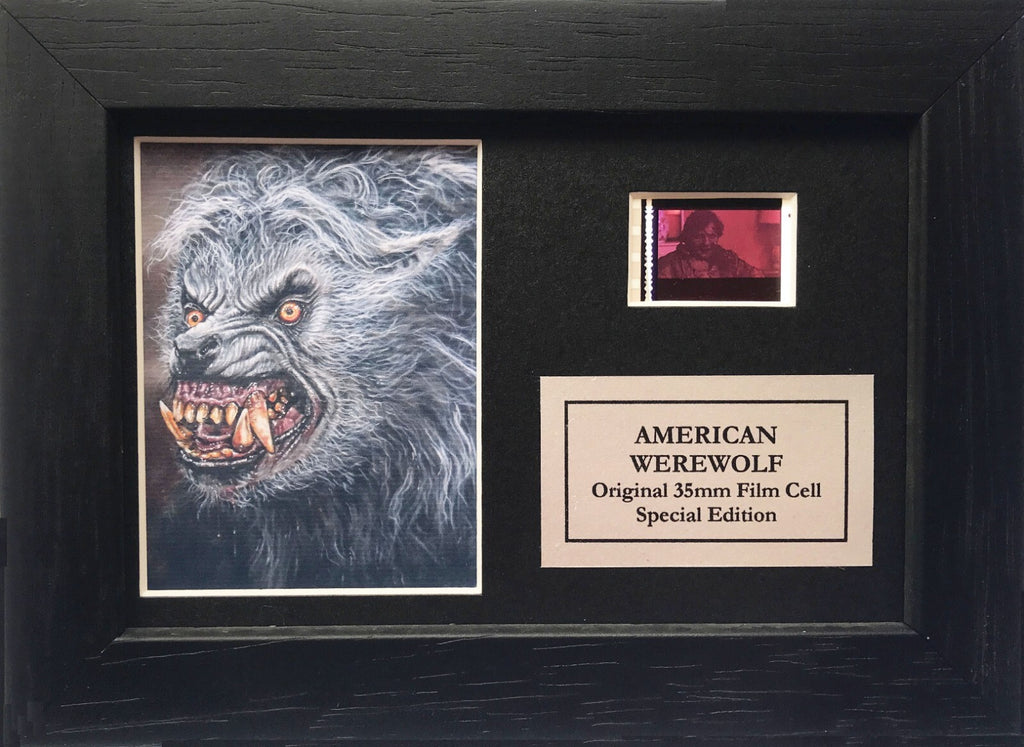 AMERICAN WEREWOLF in LONDON Original Mini 35mm film Cell Memorabilia + COA