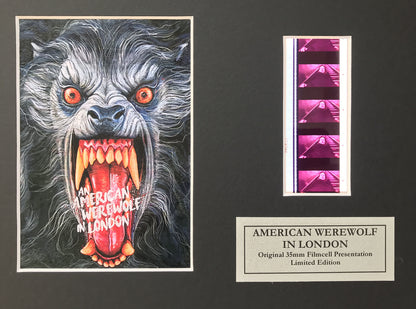AMERICAN WEREWOLF in LONDON Original 35mm Film Cells set in Quality Wood Frame