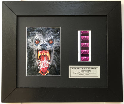 AMERICAN WEREWOLF in LONDON Original 35mm Film Cells set in Quality Wood Frame