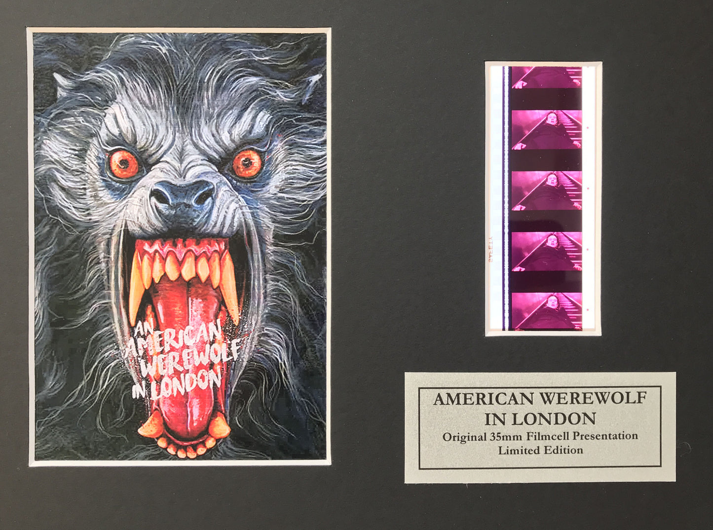 AMERICAN WEREWOLF in LONDON Original 35mm Film Cells set in Quality Wood Frame