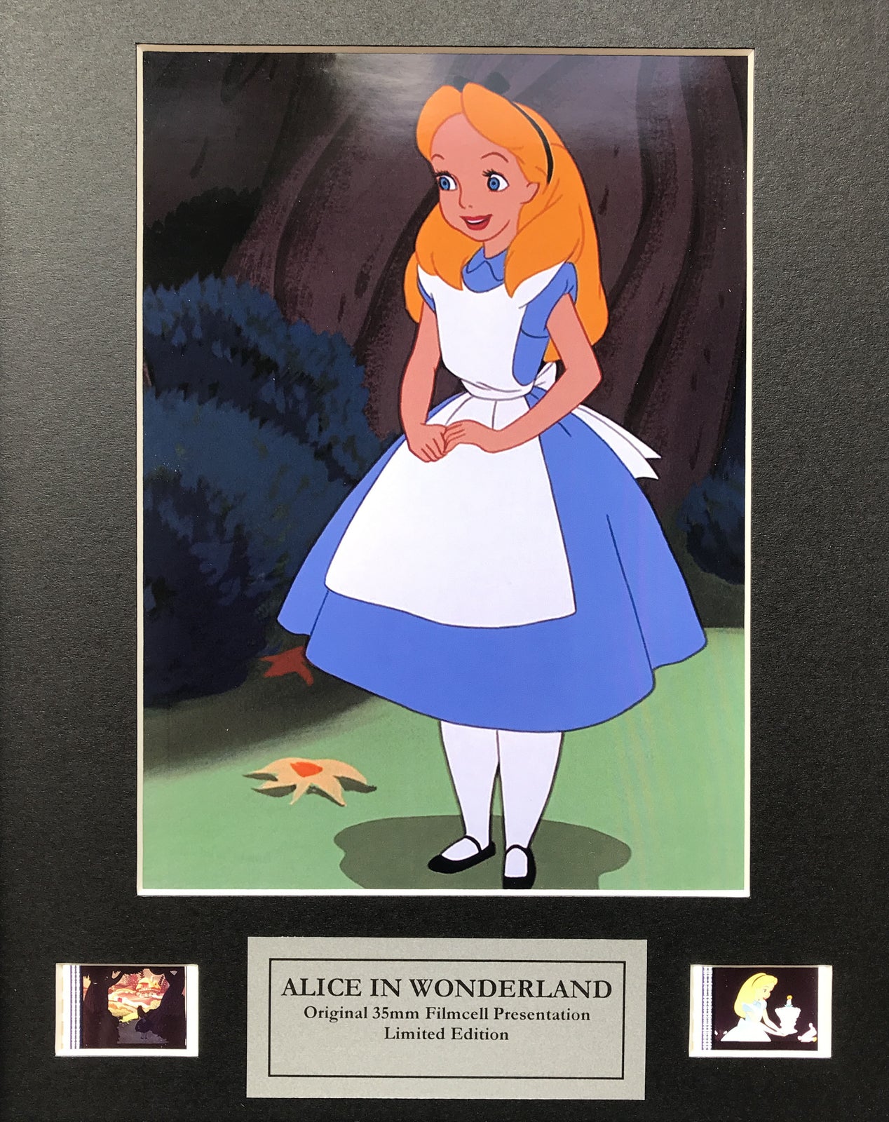 ALICE in WONDERLAND (1951) Original 35mm film Cell Memorabilia + COA