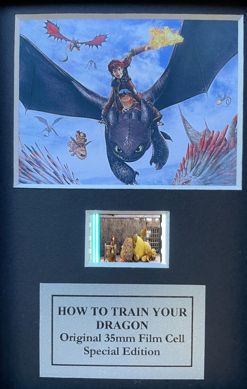 How To Train Your Dragon Original Mini 35mm Film Cells set in Quality Wood Frame