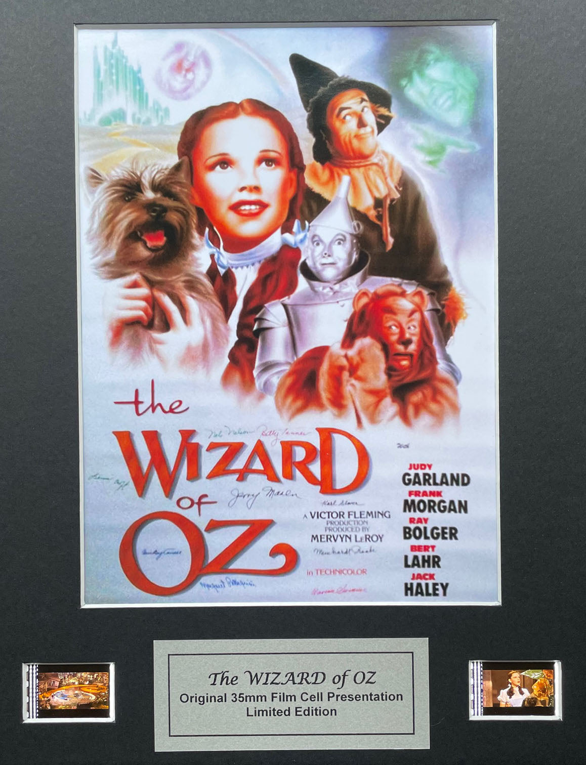The WIZARD of OZ (1939) Original 35mm Film Cells set in Quality Wood Frame + COA