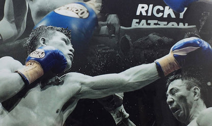 RICKY HATTON display 46cm x 37cm for a Boxing Fan - only one!