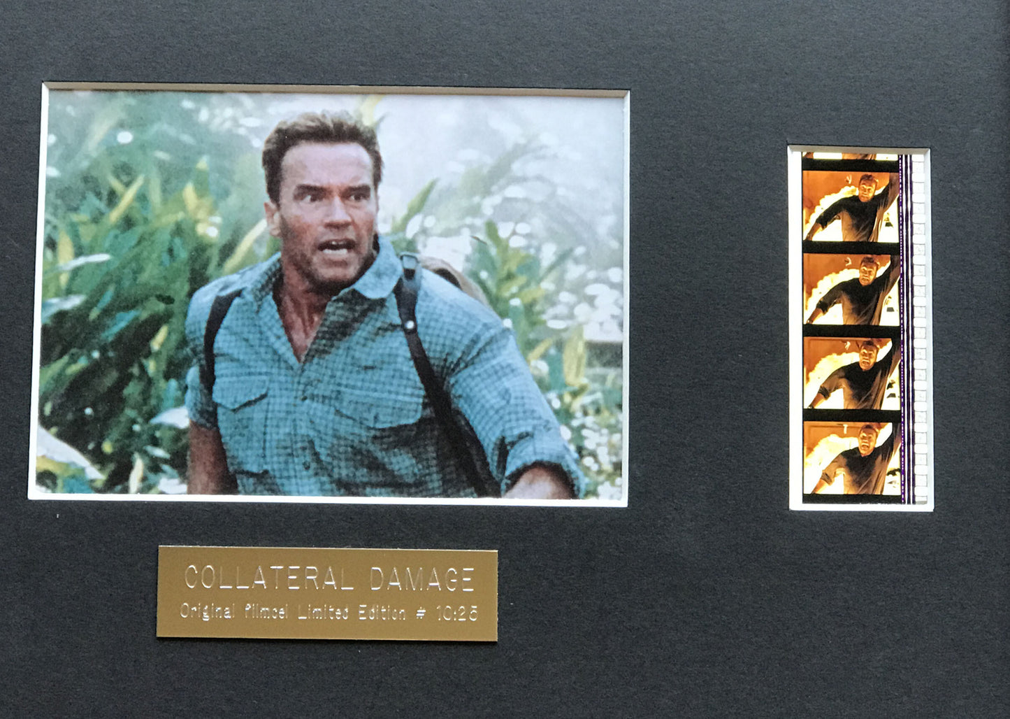 COLLATERAL DAMAGE Original 35mm Film Cells set within Quality Wood Frame + COA