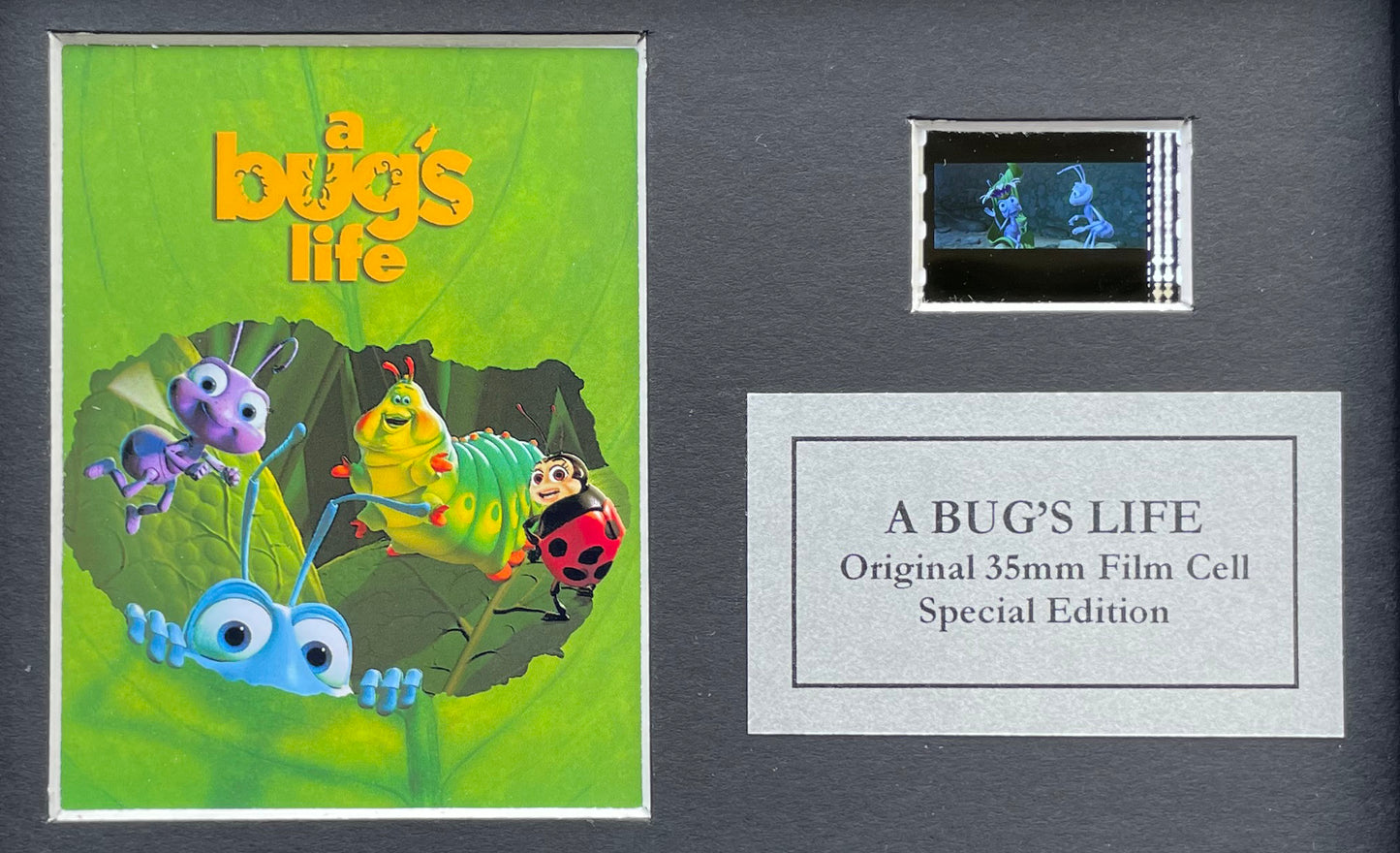 A BUGS LIFE 1998 Original Mini 35mm Film Cells set within Quality Wood Frame + COA