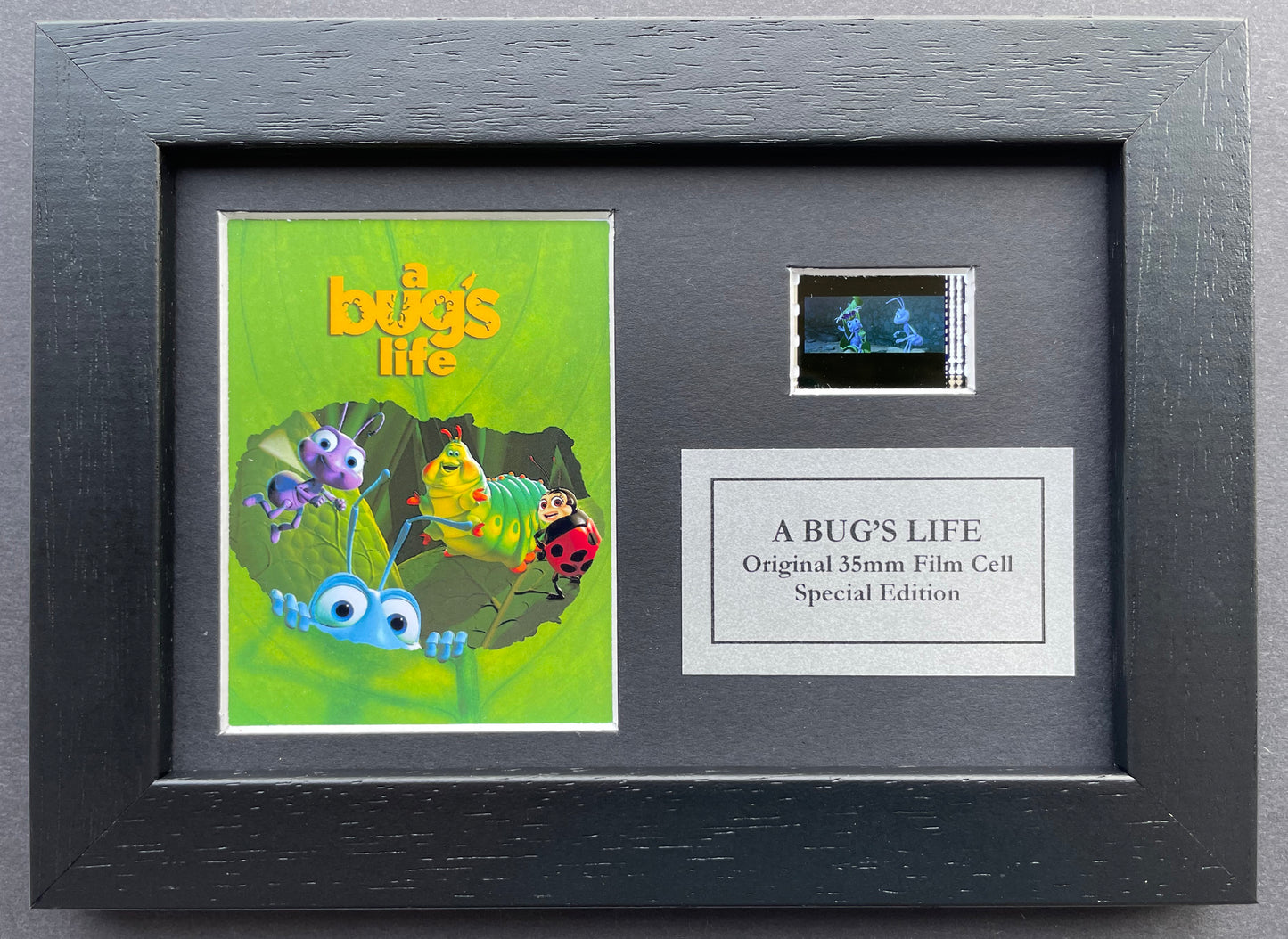 A BUGS LIFE 1998 Original Mini 35mm Film Cells set within Quality Wood Frame + COA