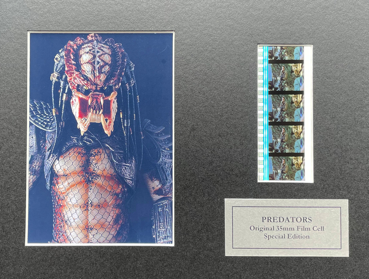 PREDATORS of 2010 Original 35mm Film Cells set within Quality Wood Frame + COA