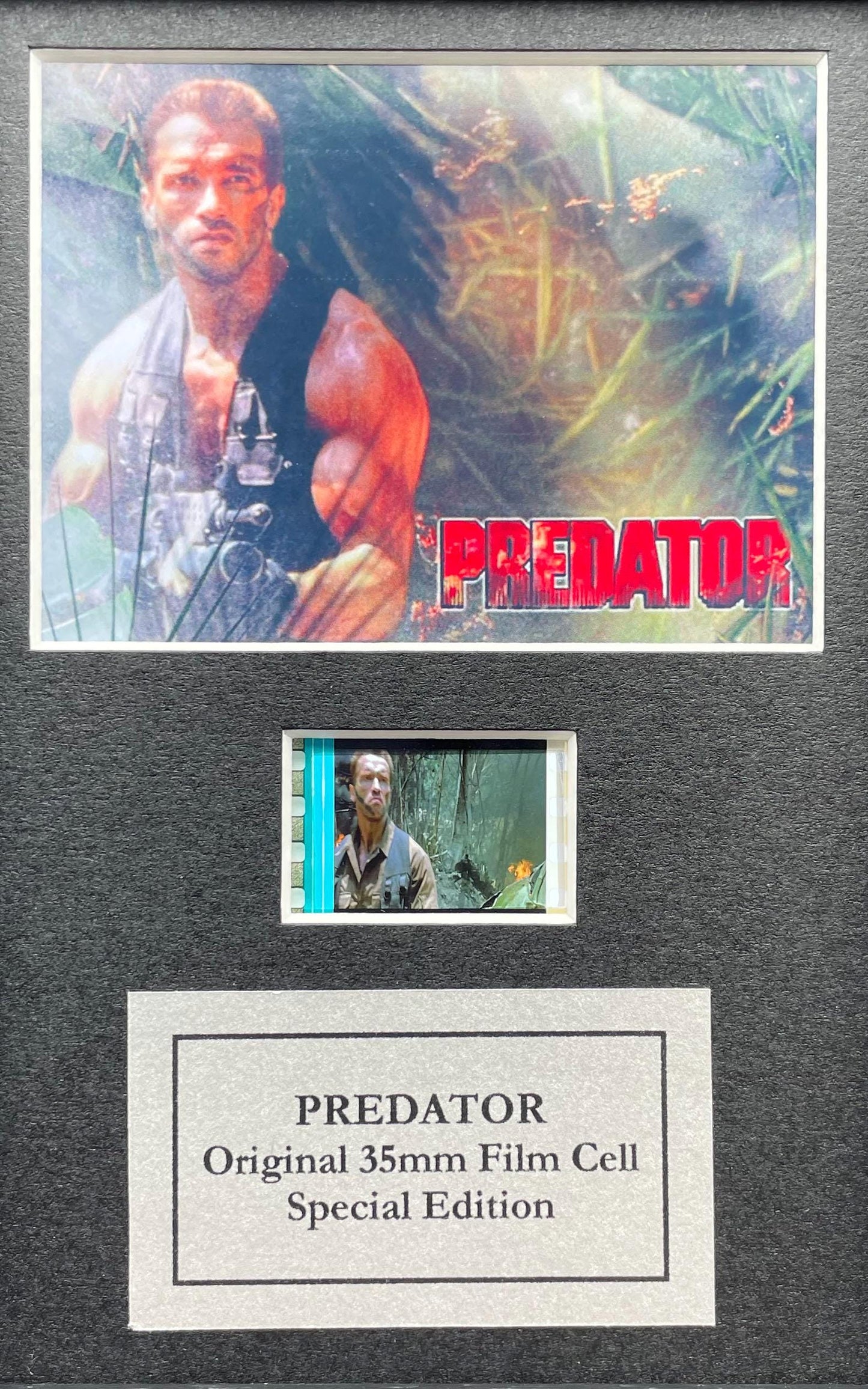 PREDATOR 1987 Original Mini 35mm Film Cells set within Quality Wood Frame + COA